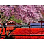 River Side Arashiyama - Vacation STAY 86031v
