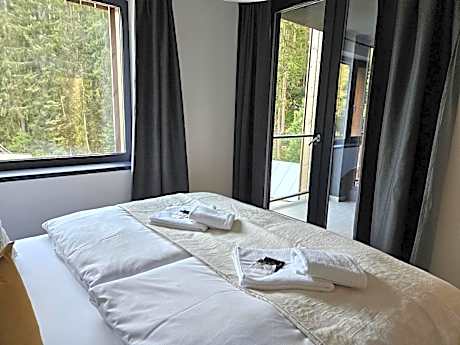 Two-Bedroom Apartment with River View