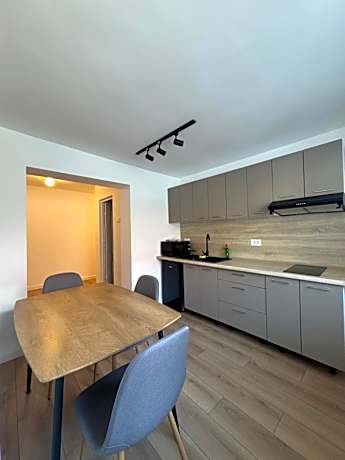 Deluxe One-Bedroom Apartment