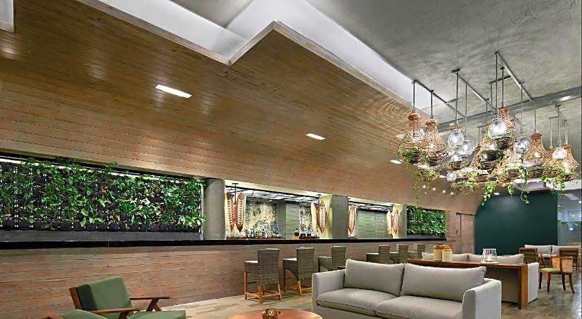 Hikka Tranz By Cinnamon