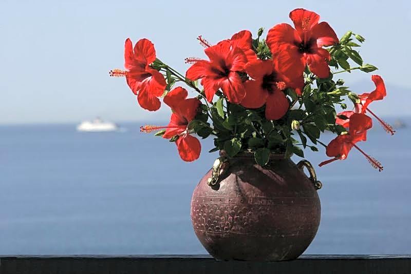 Andros Holiday Hotel