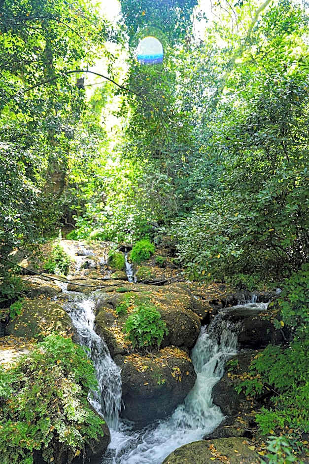 Selale Cennet Evleri