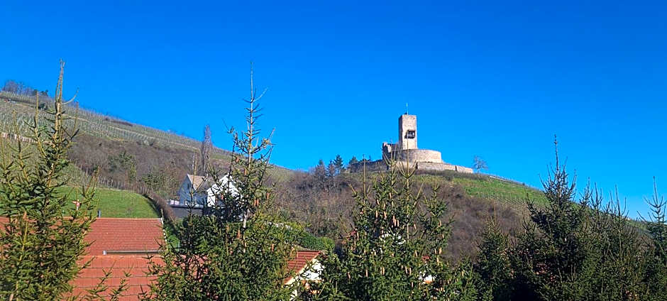Gîte et chambres d'hôtes Les Framboises