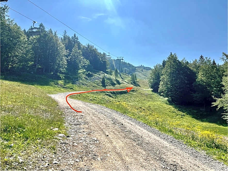 Chalet Kanja Velika Planina