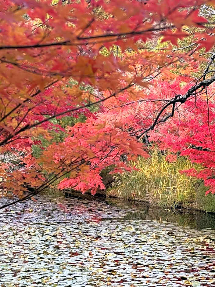 京町家-椿庵Kyomachiya-Tsubakian