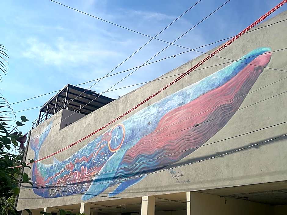 Casa de la Ballena