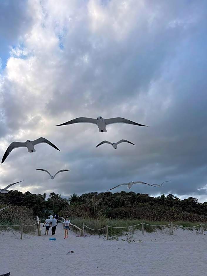 Los Patios Home Suites