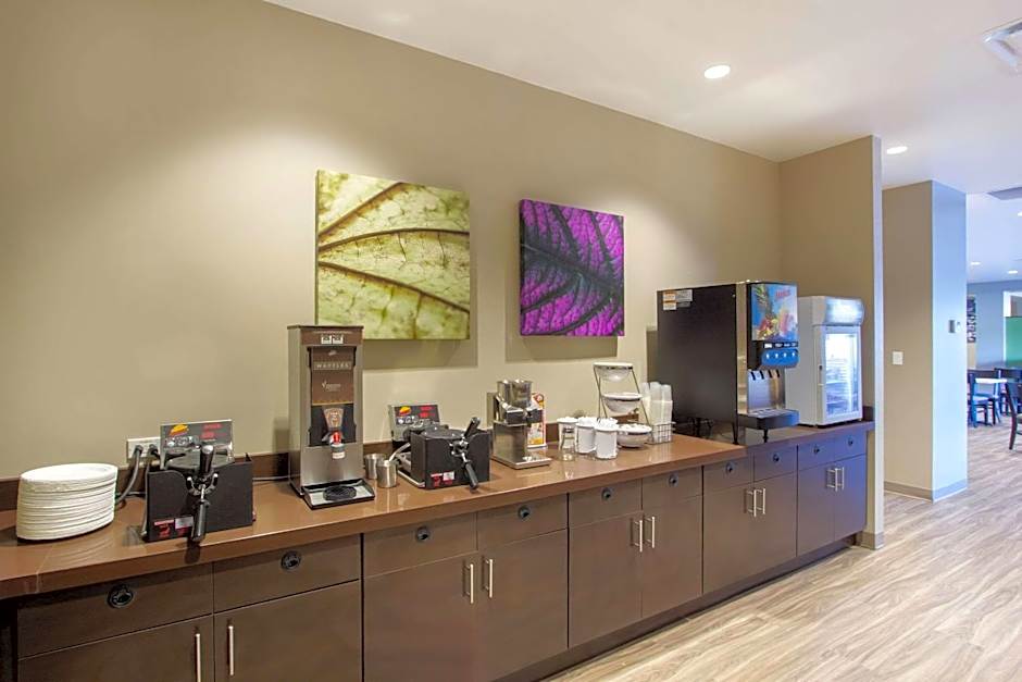 Sleep Inn & Suites Tampa South