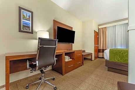 1 King Bed, Suite, Nonsmoking, Accessible