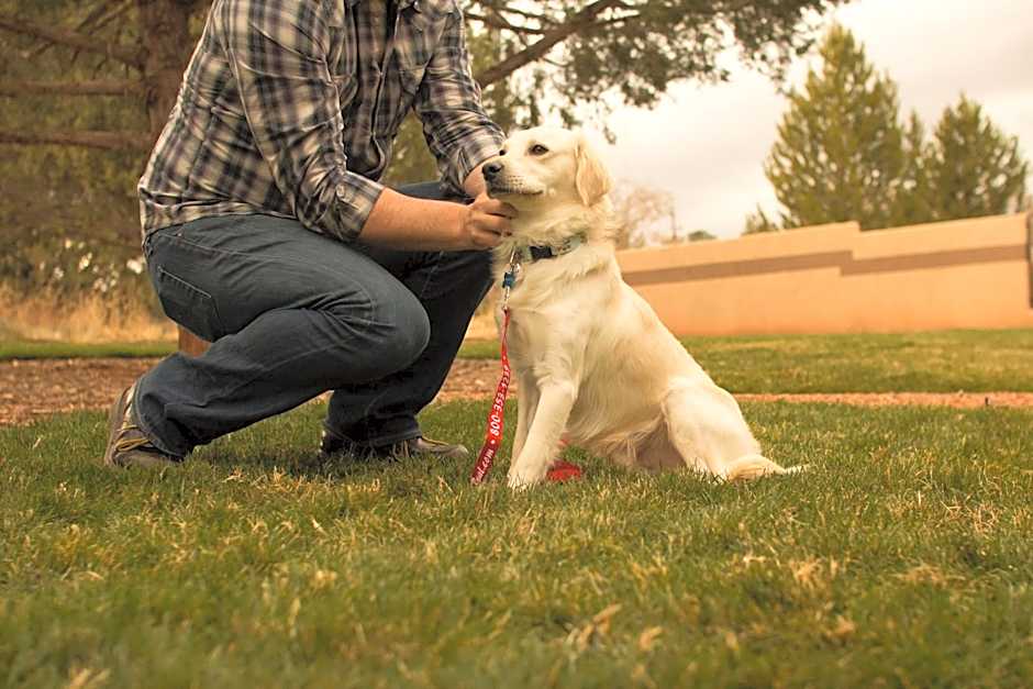 Mountain Modern Sedona