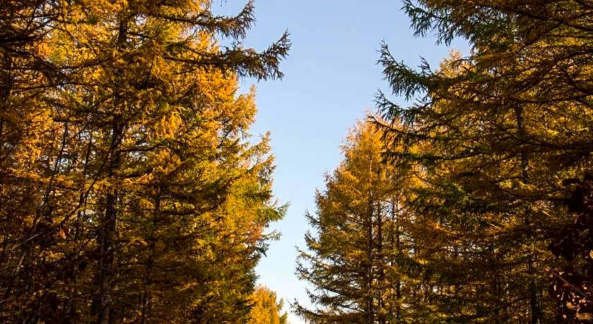 Guesthouse Canterbury