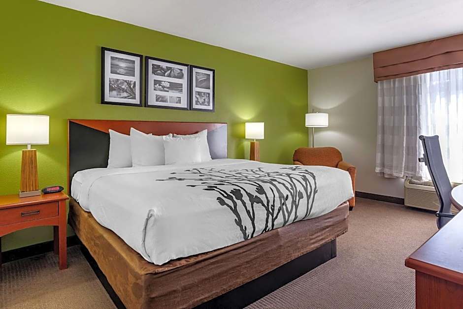Sleep Inn & Suites Stockbridge Atlanta South