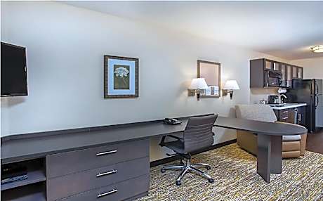 1 Queen Studio Suite