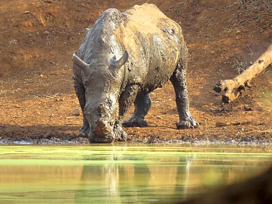 Sable Creek Safari Lodge