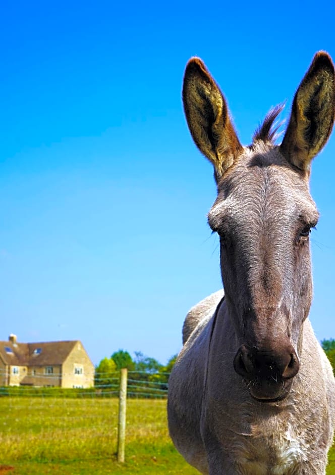 Banbury Hill Farm Bed & Breakfast