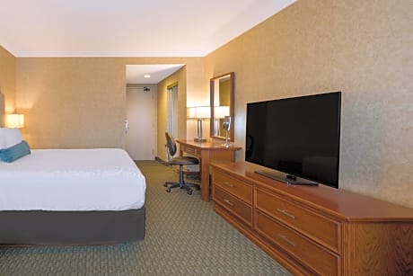 King Room with Sofa Bed - Non-Smoking