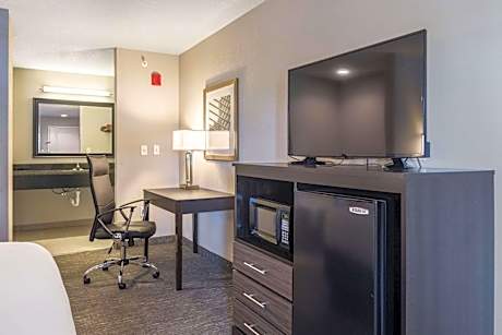 1 King Bed, Suite, Nonsmoking
