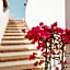 Hotel Rojas