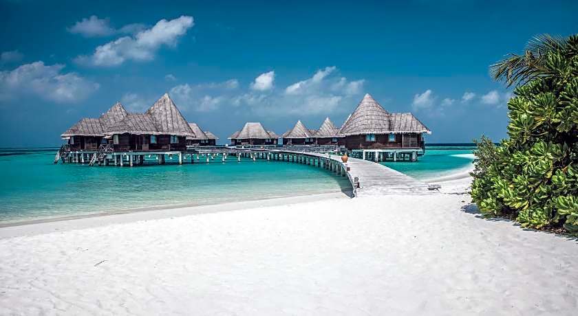 Coco Palm Dhuni Kolhu