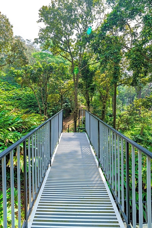 The Tall Trees Munnar