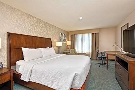 King Room with Sofa Bed