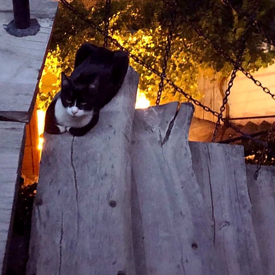 Cappadocia Cave House