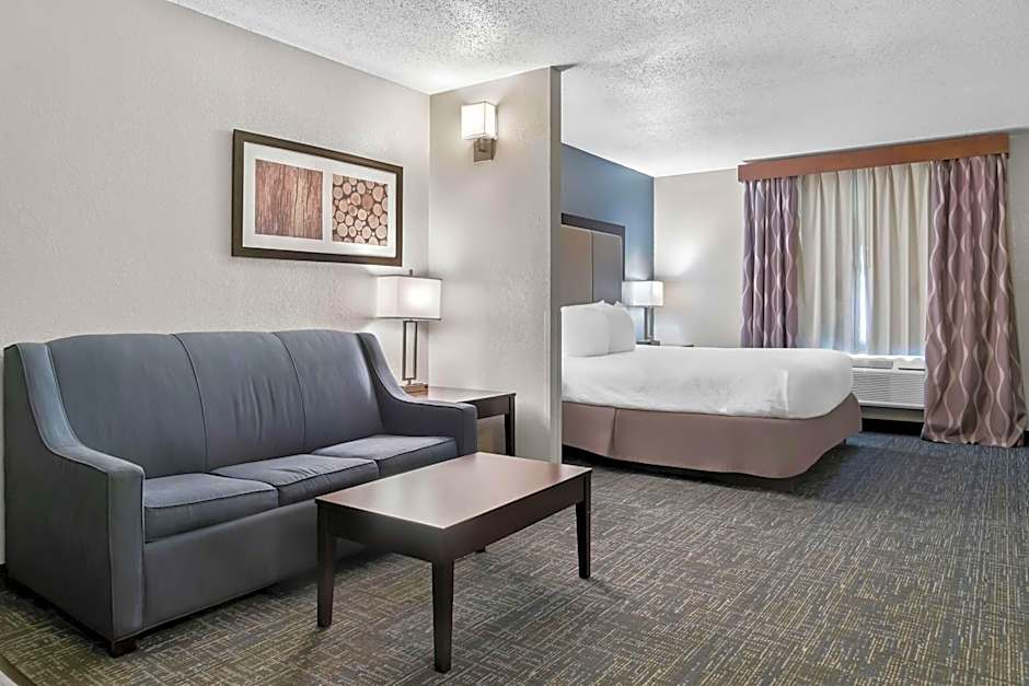 Best Western PLUS Flint Airport Inn & Suites