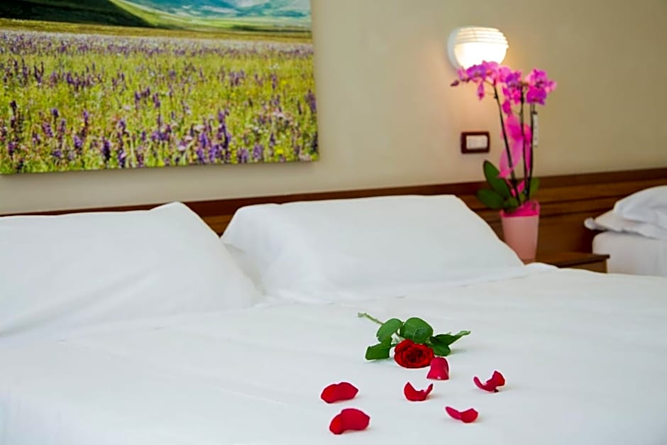 Hotel Delle Rose