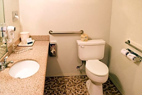 1 Queen Bed, Nonsmoking, Accessible