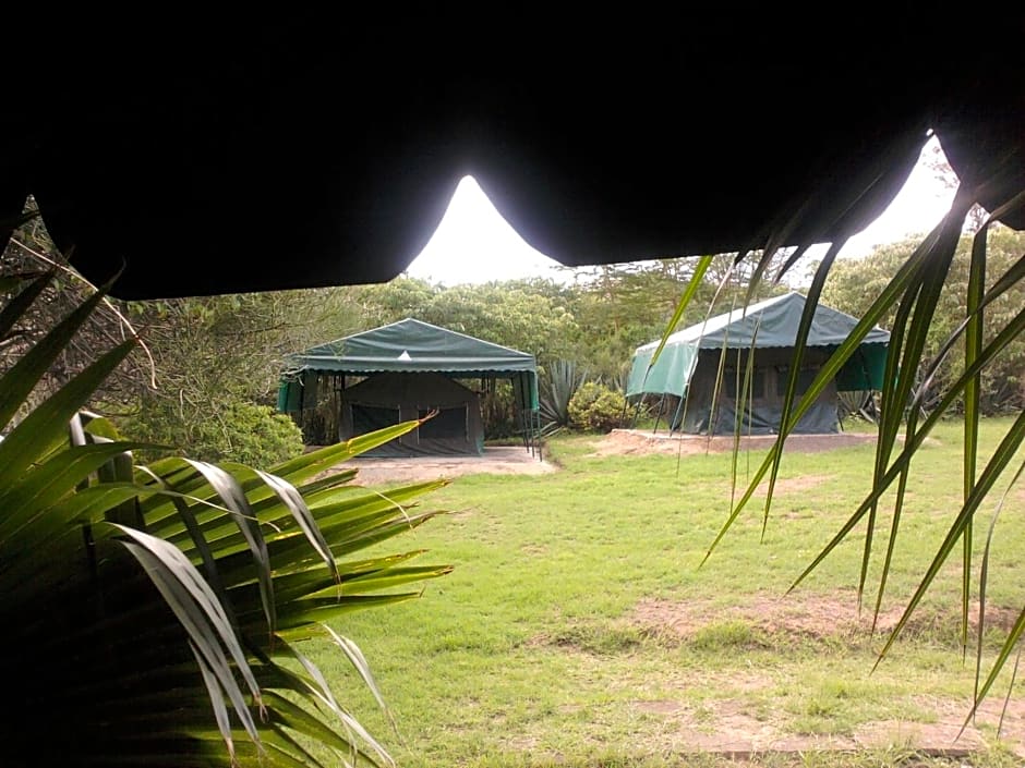 Cactus Eco Camp and Lodge