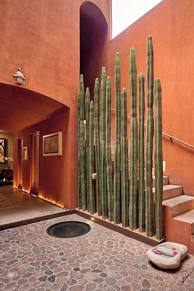Casa Carmen Reforma