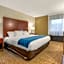 Comfort Inn Binghamton I-81