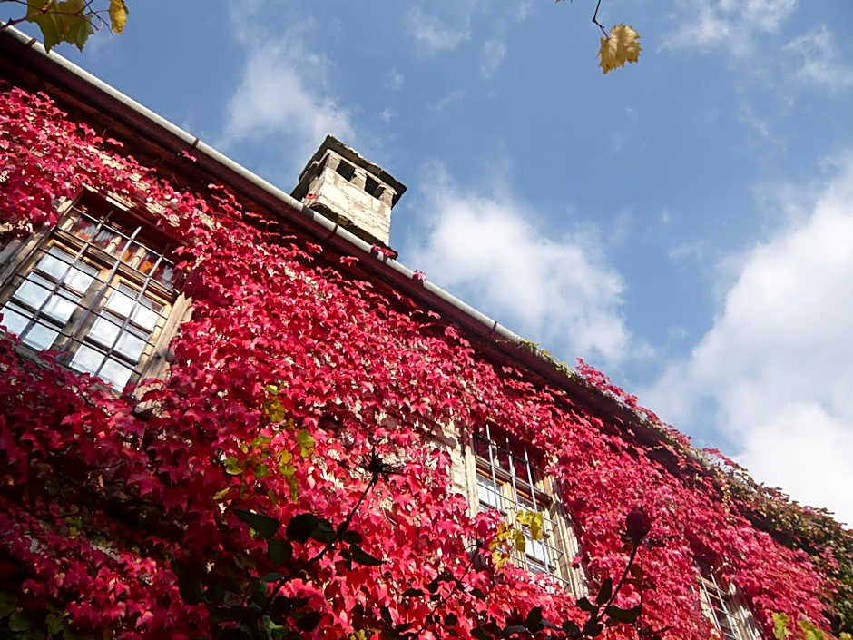 Saxonis Houses & Saxonis Villa