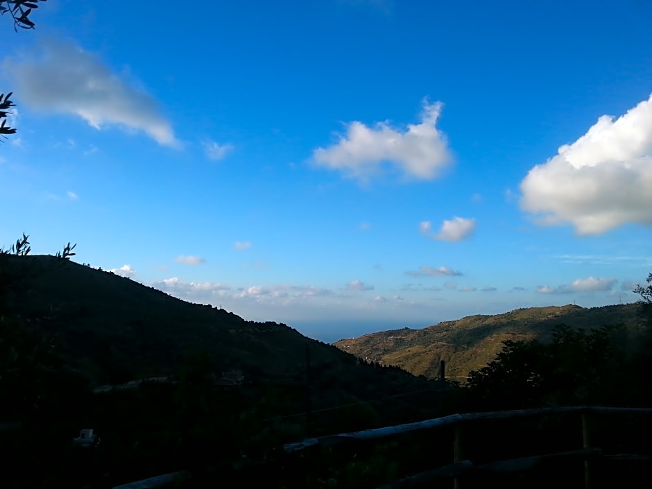 Agriturismo L'Uliveto