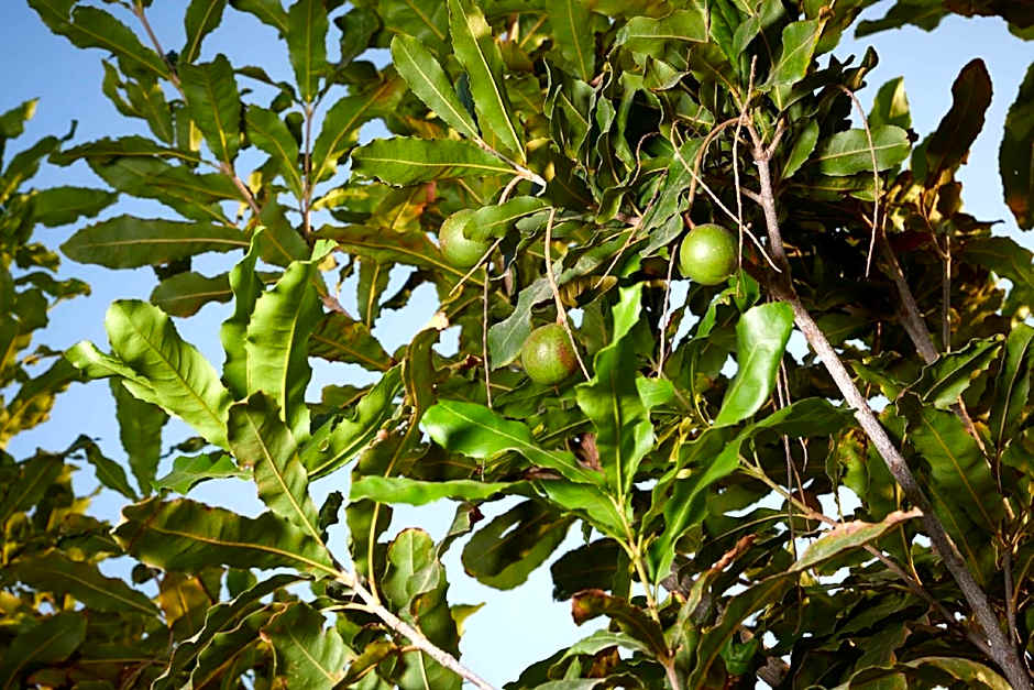 hiresicily - Casale della Pergola