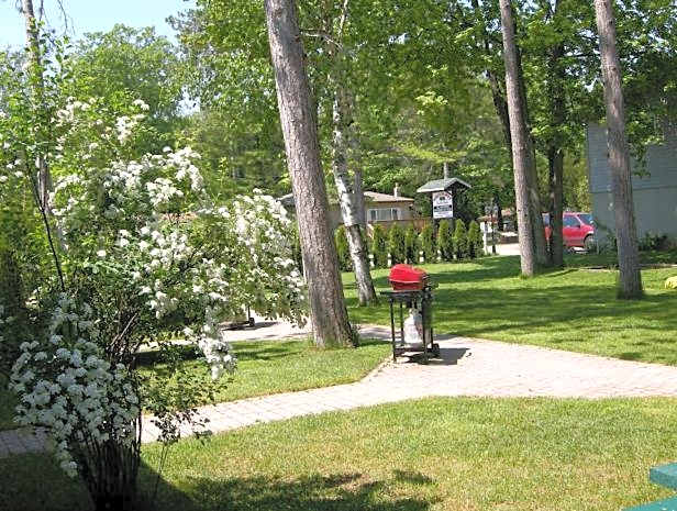 Birch Haven by the Beach