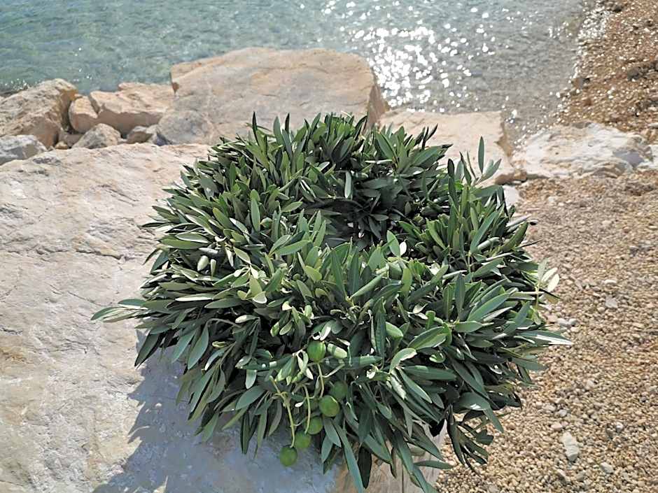 O`Life Boutique Apartments