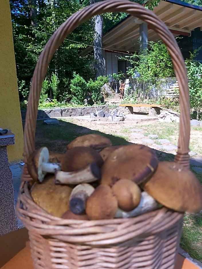 Chata nad kúpaliskom