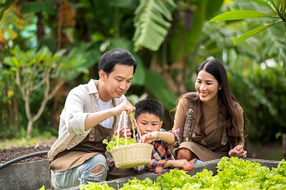 Green Me Organic Farm Khao Yai กรีนมี ออแกนิคฟาร์ม เขาใหญ่