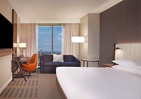 Deluxe King Suite