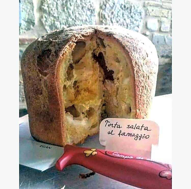 Horti del Baio