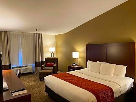 1 King Bed Nonsmoking Accessible