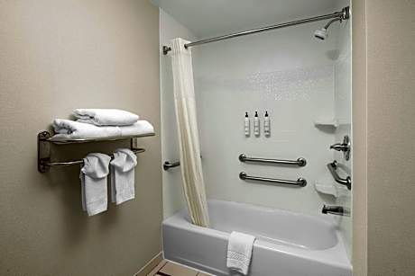 Executive Studio, 1 Bedroom (1 King Bed and 1 Double Sofa Bed)