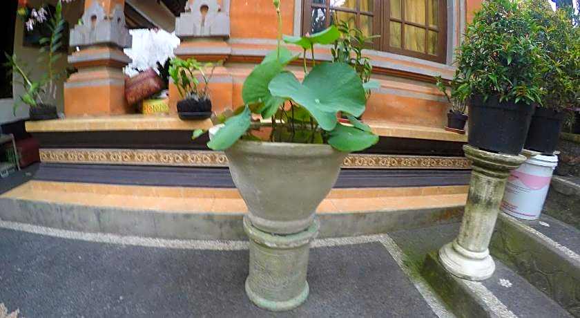 Pancer House