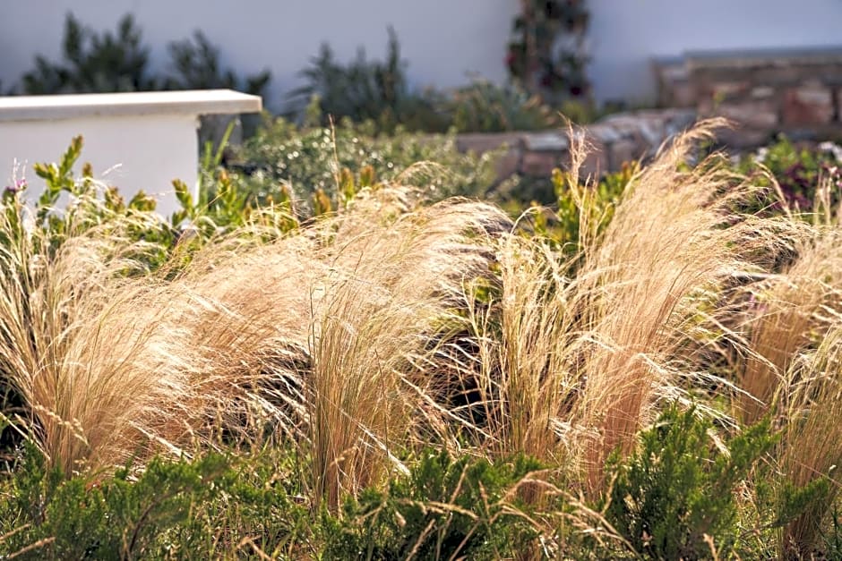 Minois Sugarcube Suites