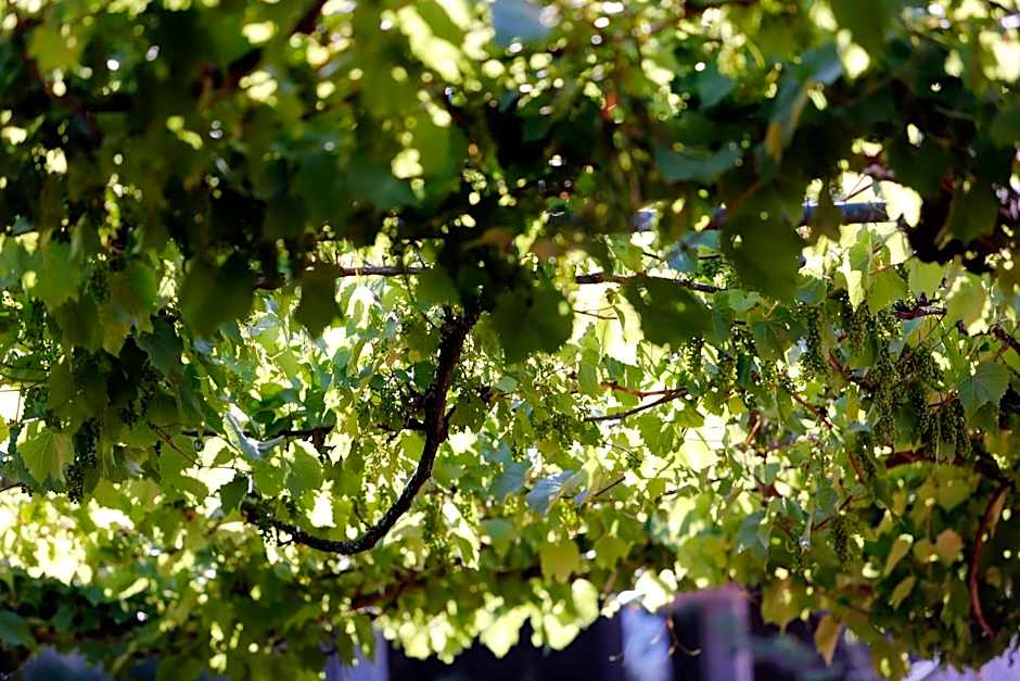 Hotel Résidence Le Sporting