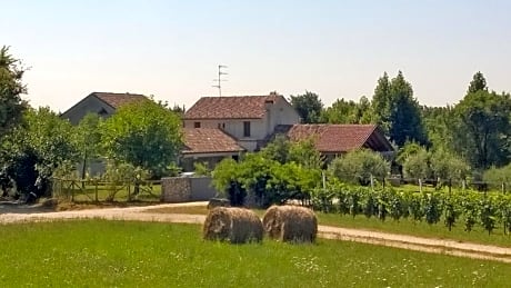 Il giuggiolo