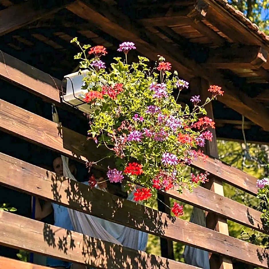 Robinzonski turizam "Robin` s Hood"