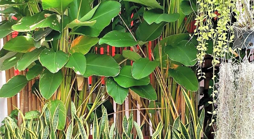 Pakhongthong Villa Saynamkhan Vat Nong