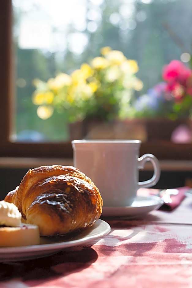 Hotel Dolomiti Des Alpes
